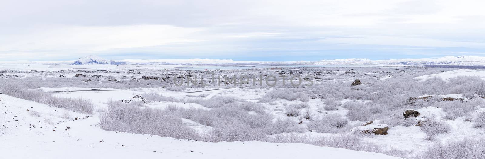 panorama shot of  Winter landscape with snow covered trees at Dimmuborgir Lake Myvatn, Iceland