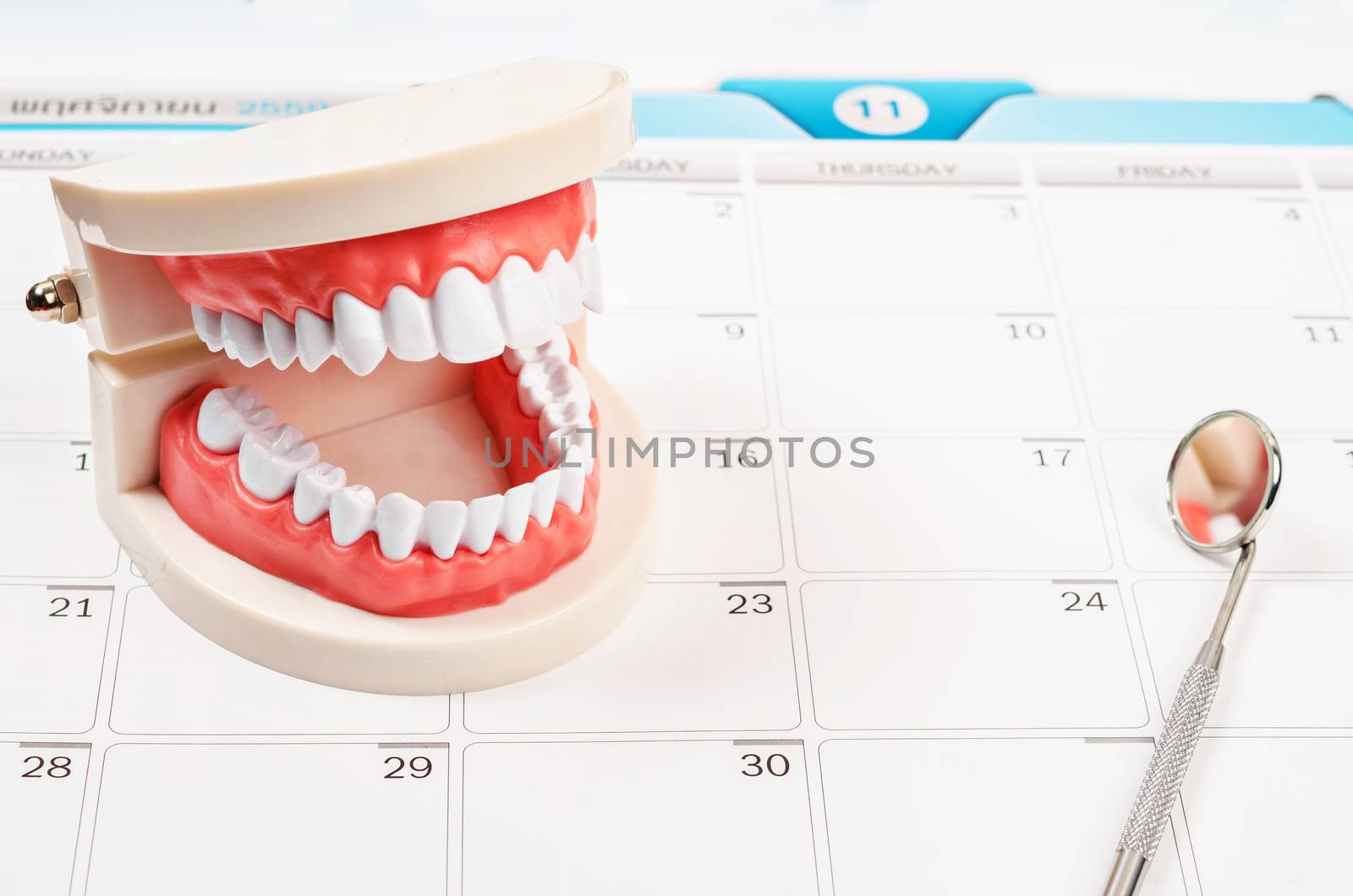 Calendar page and Dentist mirror tool and dentist demonstration teeth model.