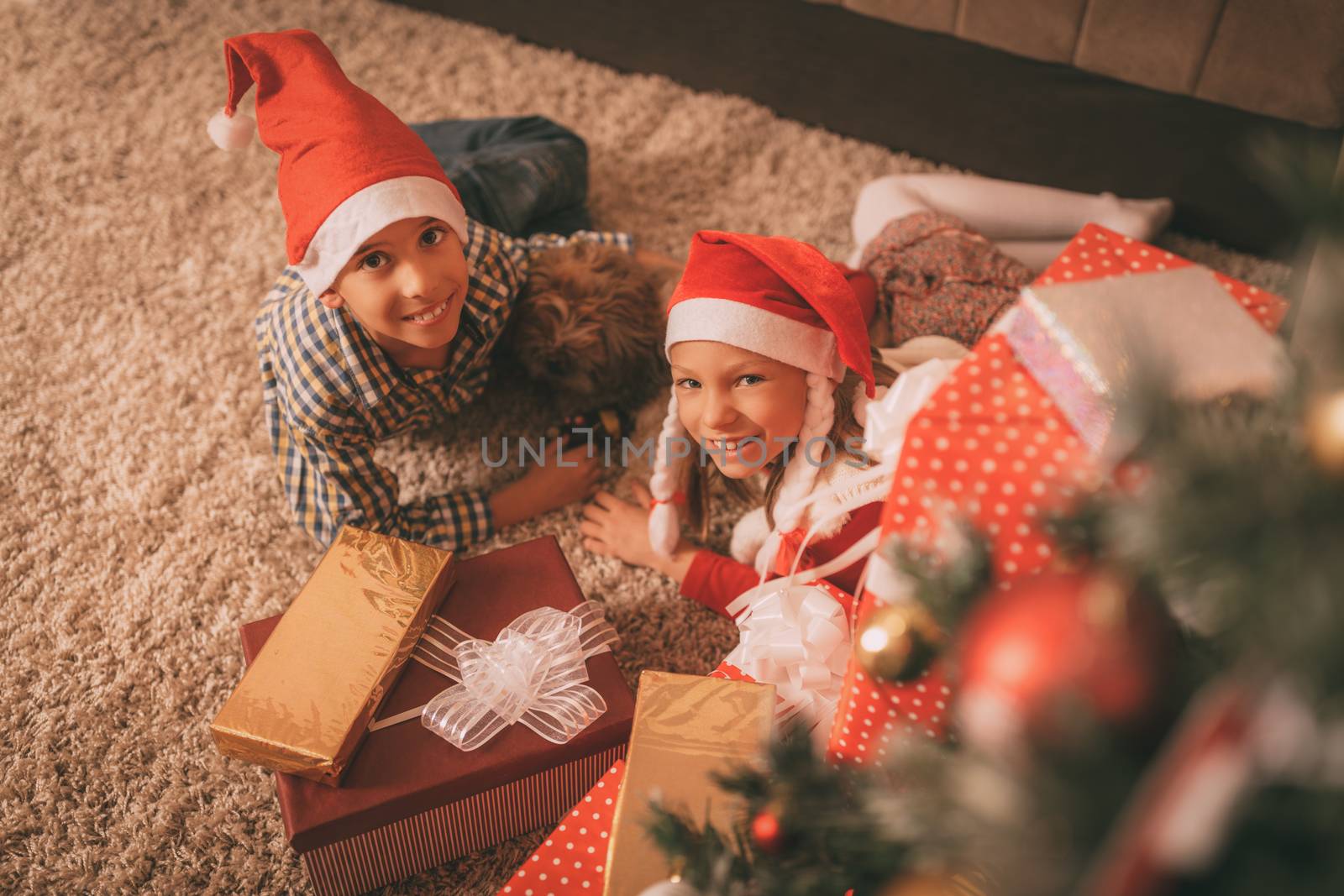 Cute smiling girl, boy and their small dog with many presents at the home in a Christmas time. Looking at camera.