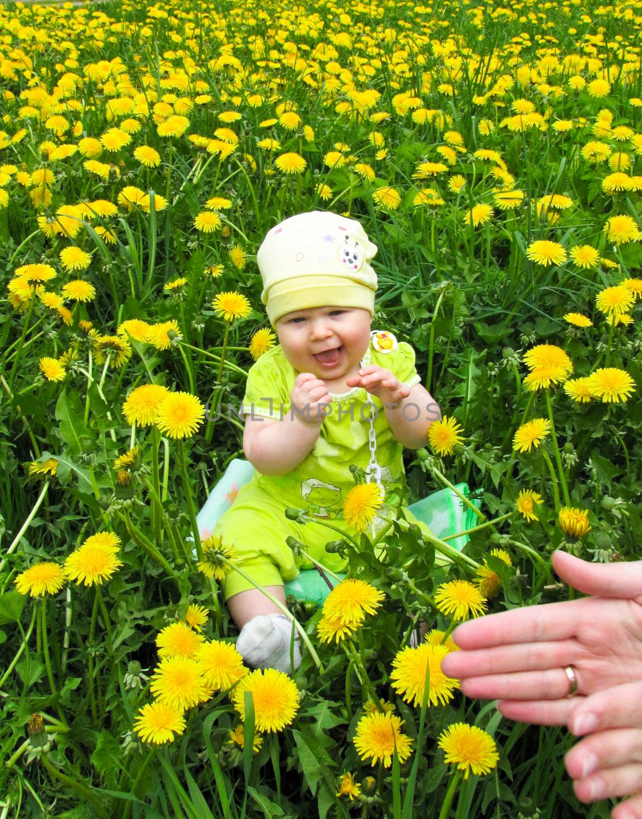child of dandelions by rodakm