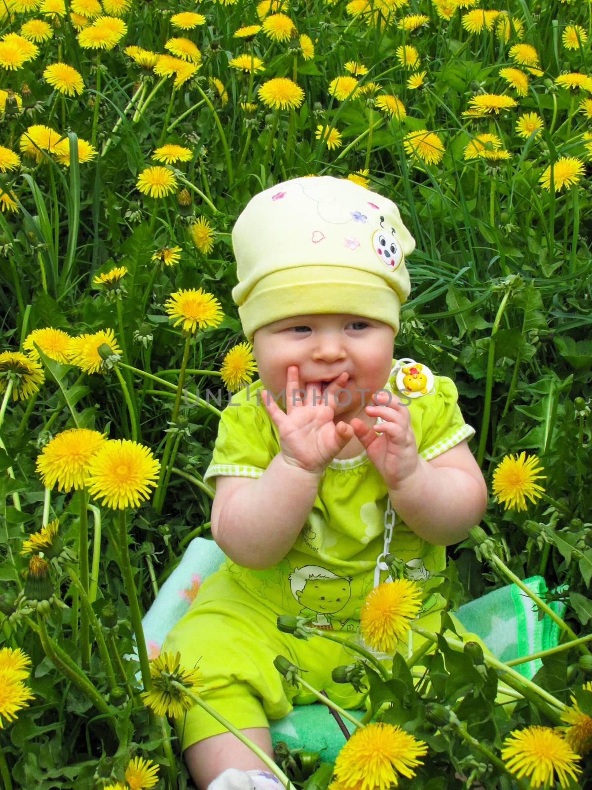 child of dandelions by rodakm