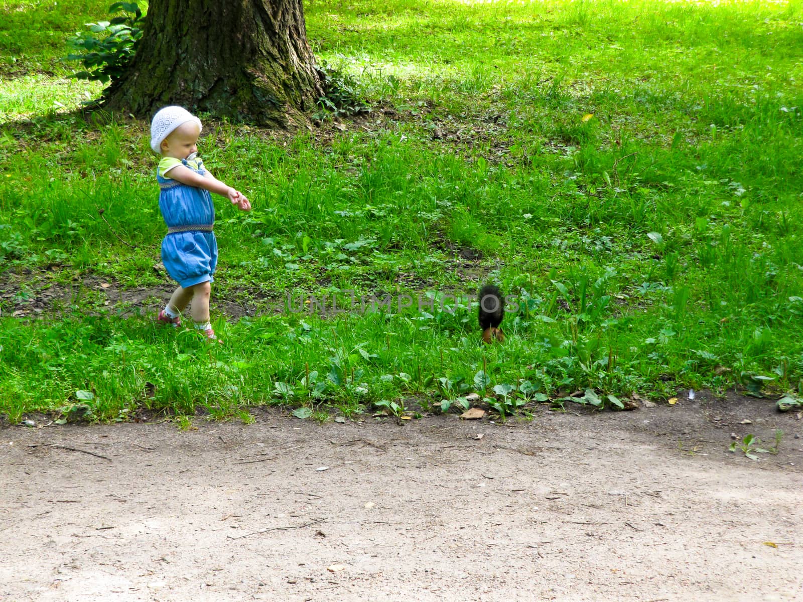 the girl in the blue suit feeding a squirrel in the woods