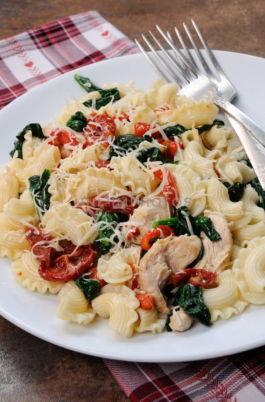 Warm salad pasta with chicken, sun dried tomatoes, spinach, pepper and  flavored   parmesan cheese