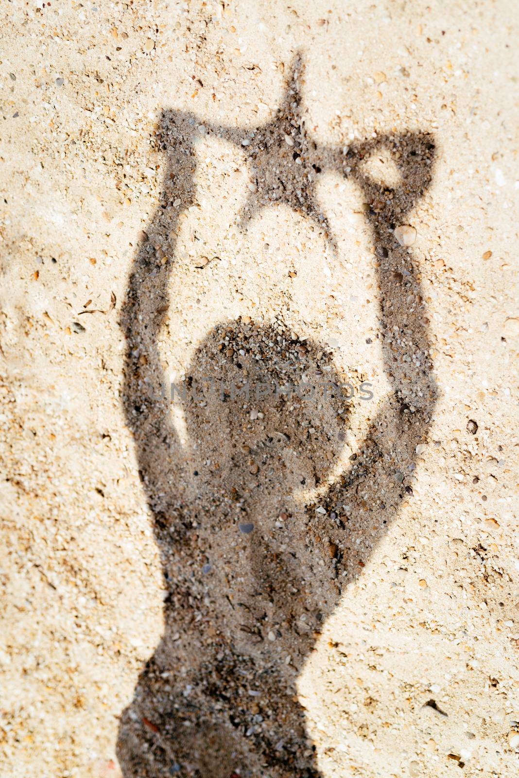 Shadow on sand of a woman holding starfish. 