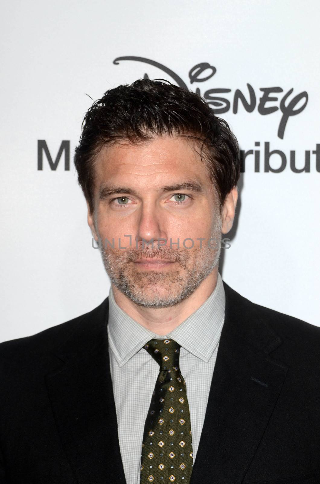 Anson Mount
at the 2017 ABC International Upfronts, Disney Studios, Burbank, CA 05-21-17/ImageCollect by ImageCollect