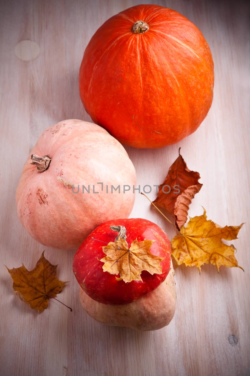 Pumpkins and turk's turban squash on wooden table