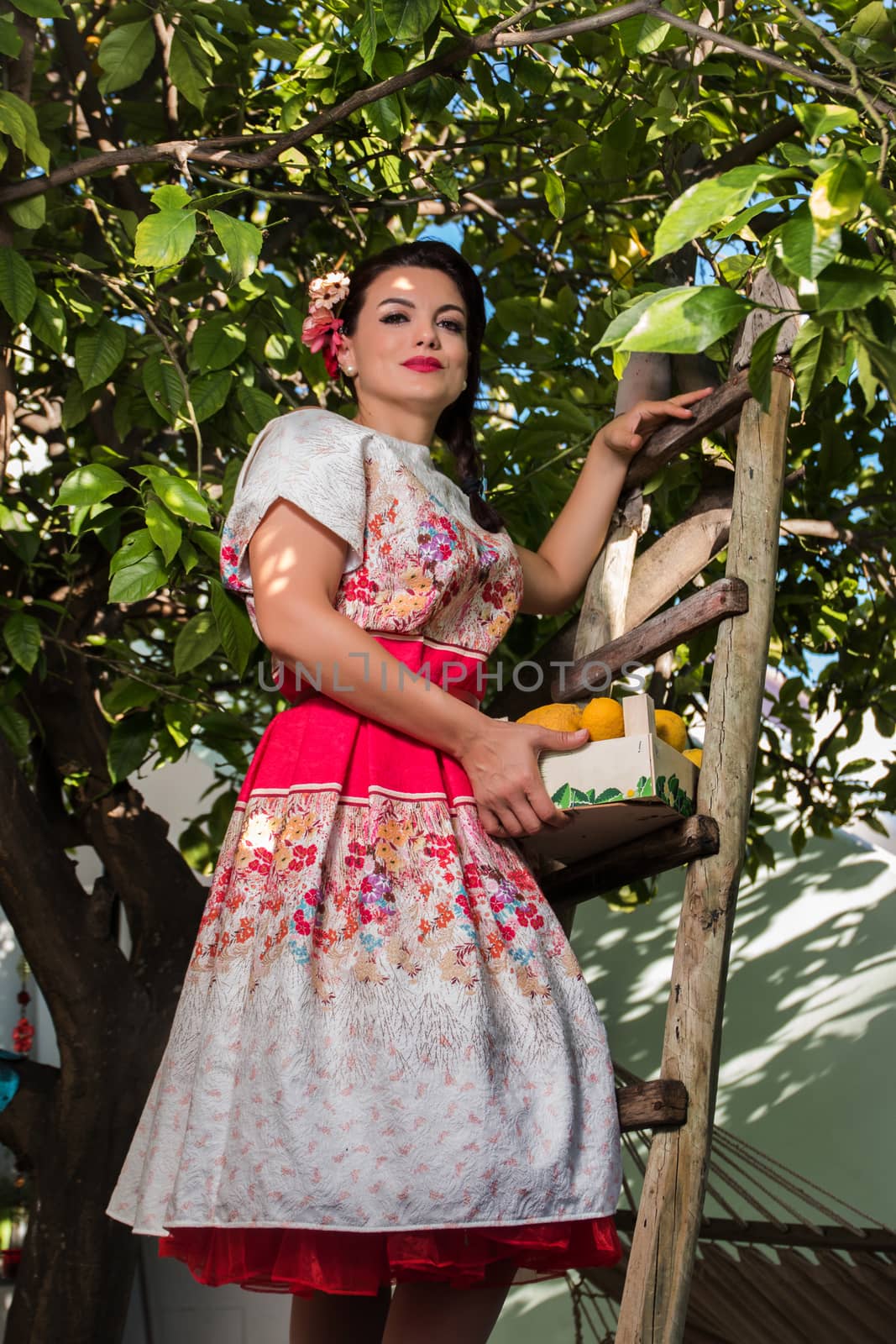 Vintage girl with floral dress climbing a lemon tree.