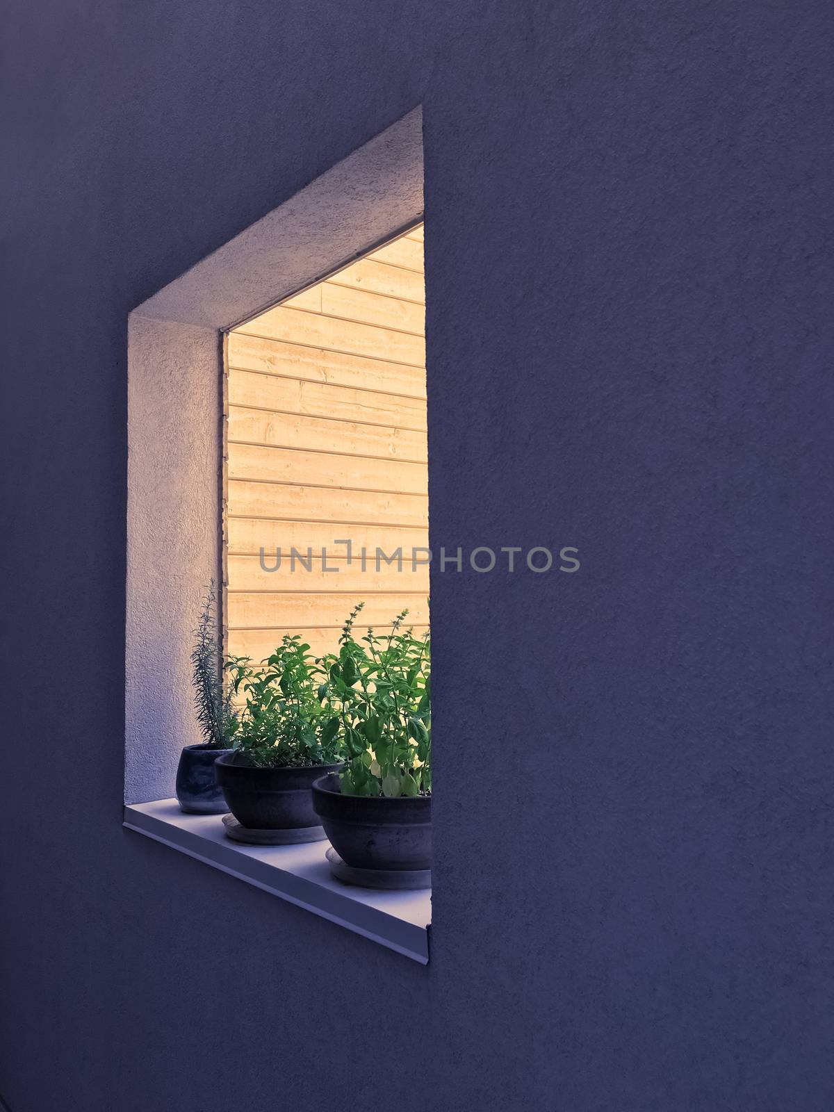 Window decorated with potted herbs by anikasalsera