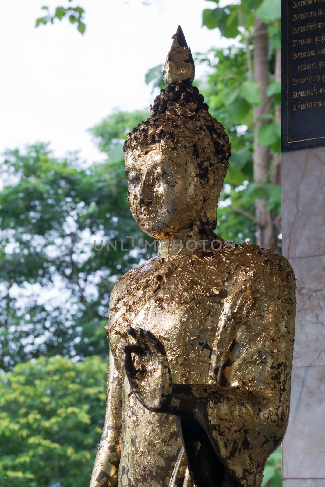 buddha status ruined old temple of Ayutthaya, Thailand by nikonlike