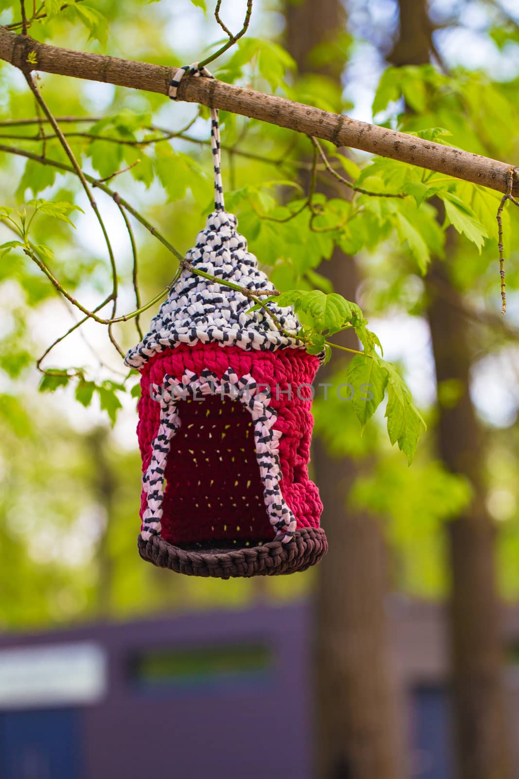 knitted from yarns birdhouse hanging in the park. by boys1983@mail.ru