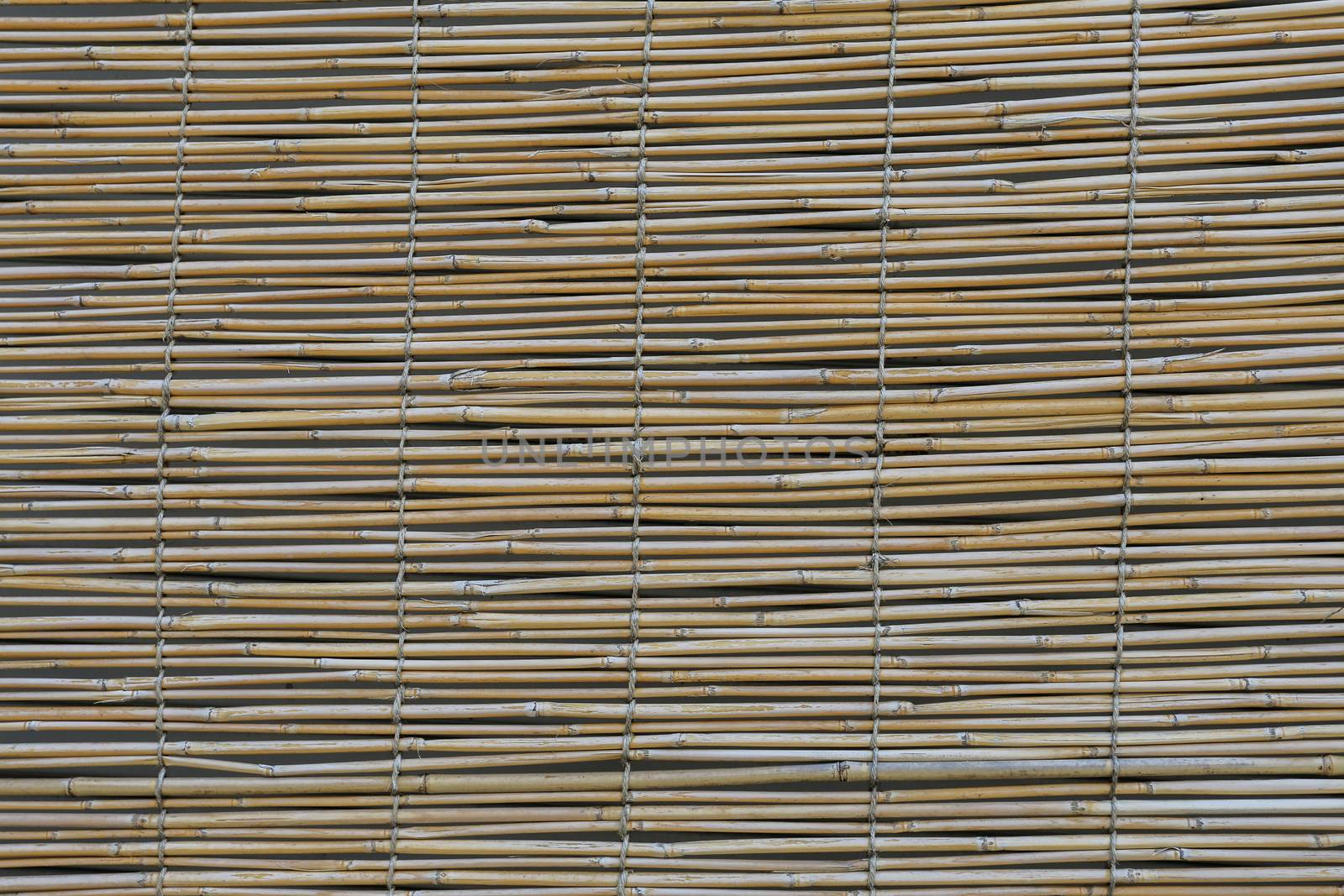 bamboo blind pattern background