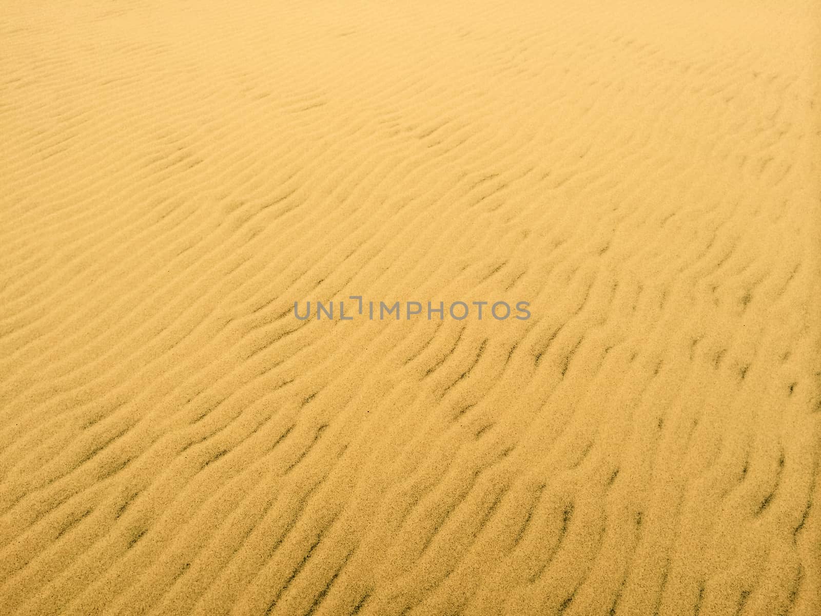 Sandy beach background. Texture of golden sand.