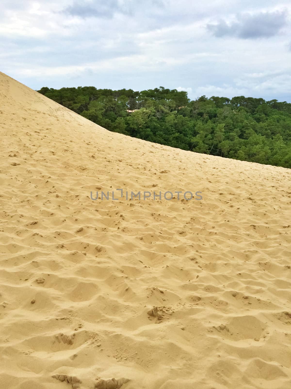 Sandy slope of the Dune of Pilat in France by anikasalsera