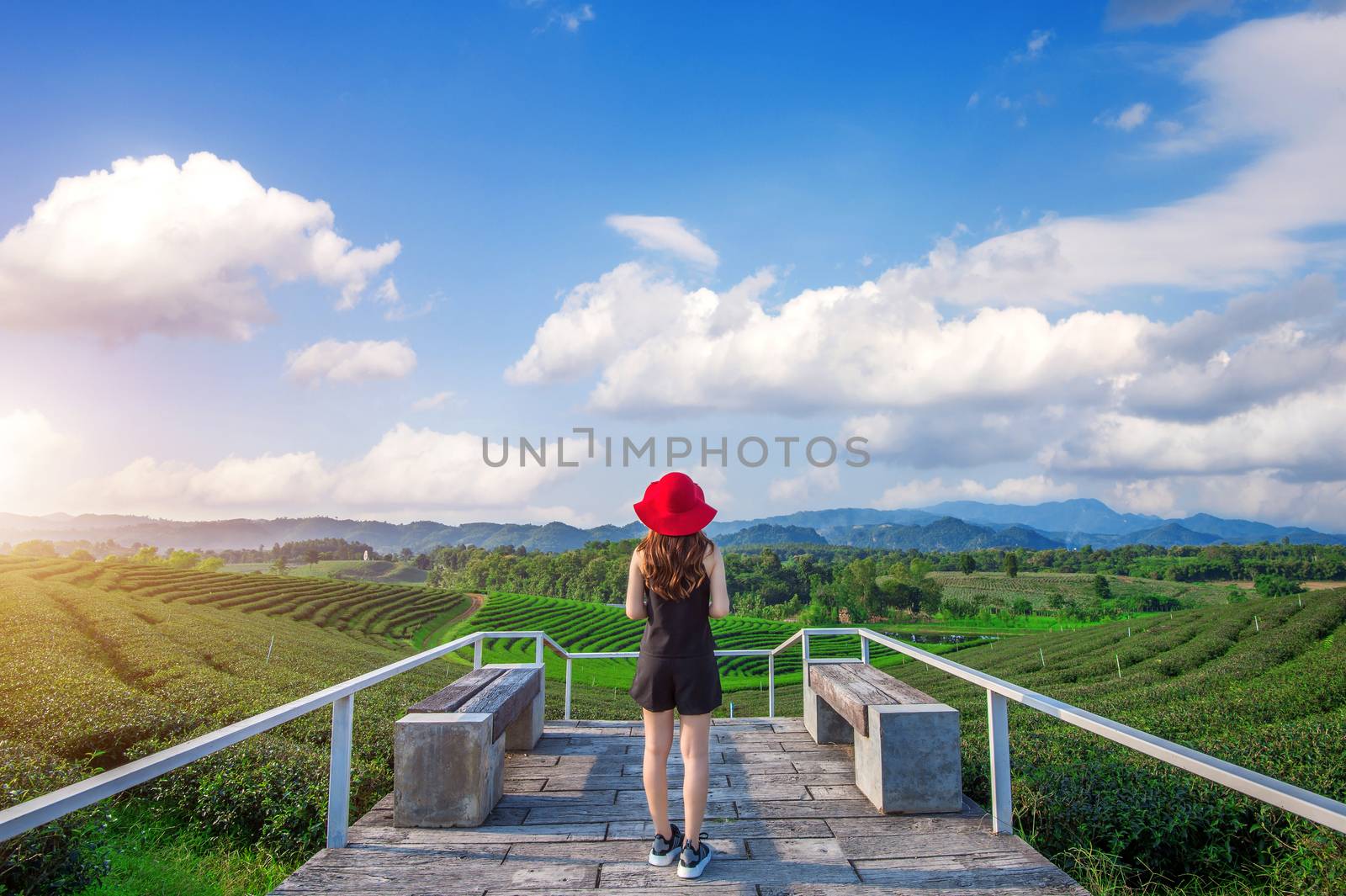 beautiful girl with red hat in green tea mountain. by gutarphotoghaphy