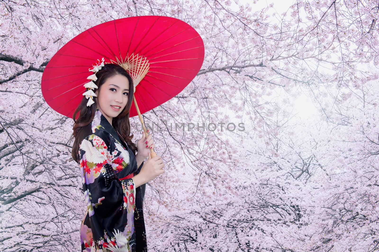 Beautiful young asian woman wearing traditional japanese kimono with red umbrella and cherry blossom. by gutarphotoghaphy