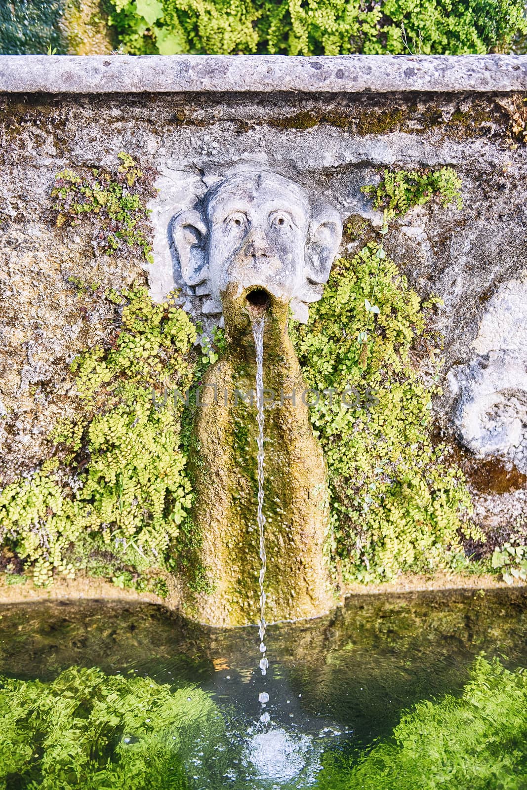 The hundred fountains, Villa d'Este, Tivoli, Italy by marcorubino