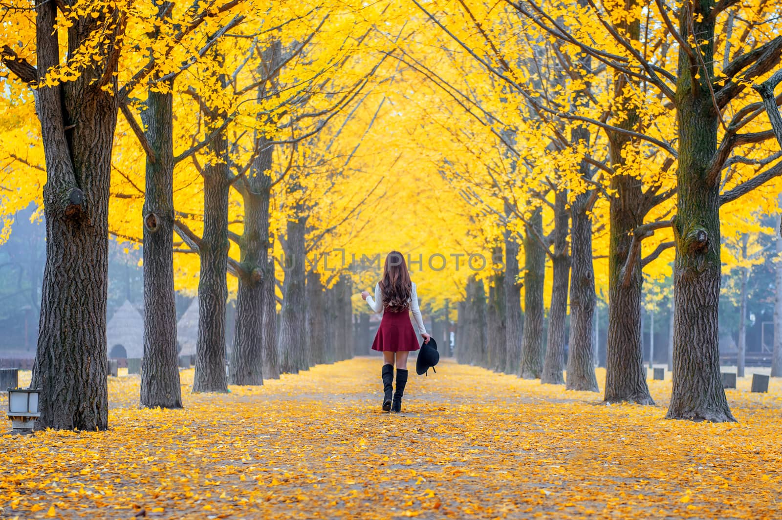 Beautiful Girl with Yellow Leaves in Nami Island, Korea.