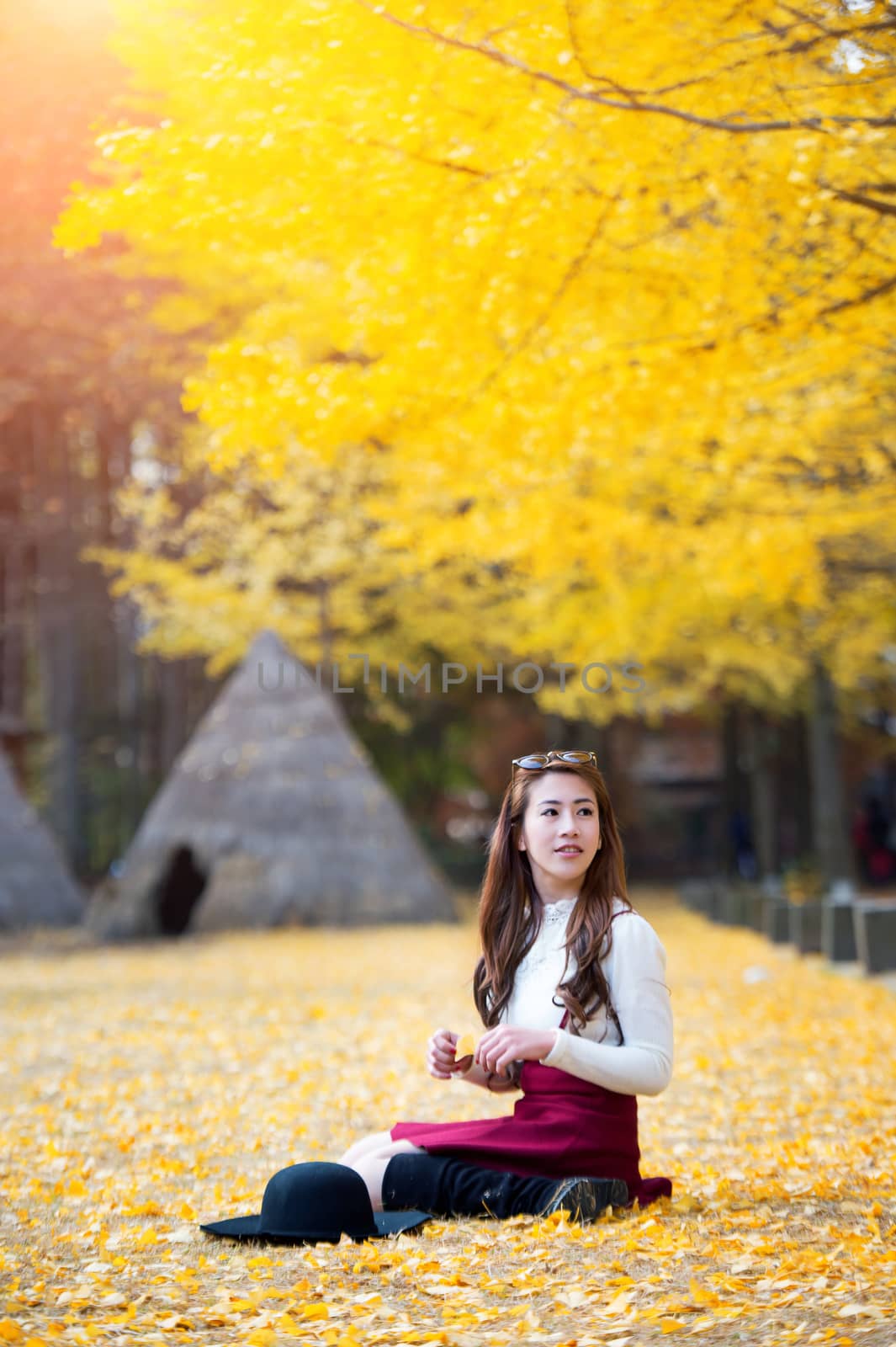 Beautiful Girl with Yellow Leaves in Nami Island, Korea. Nami island in autumn. by gutarphotoghaphy