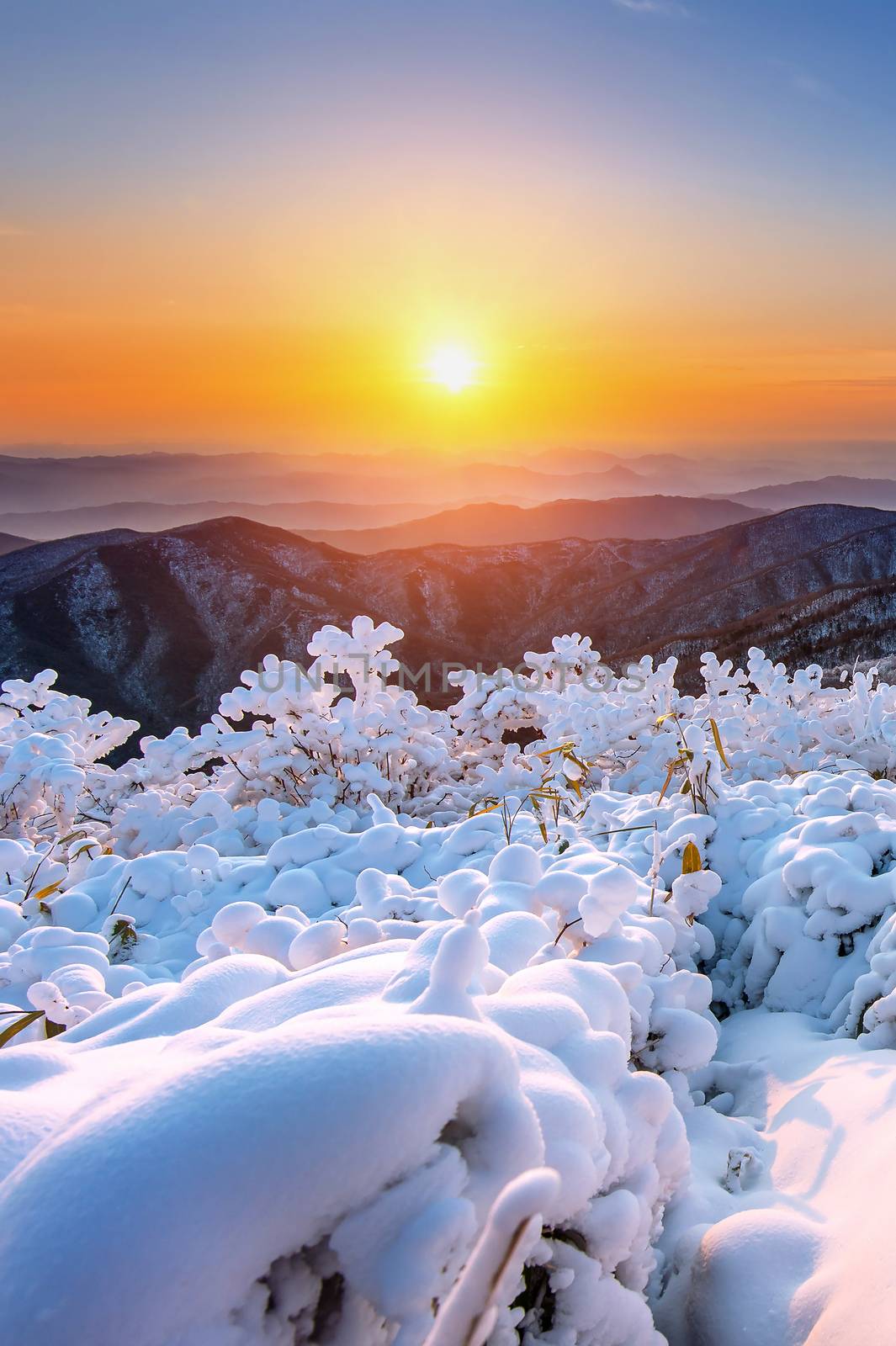 Sunrise on Deogyusan mountains covered with snow in winter,South Korea. by gutarphotoghaphy