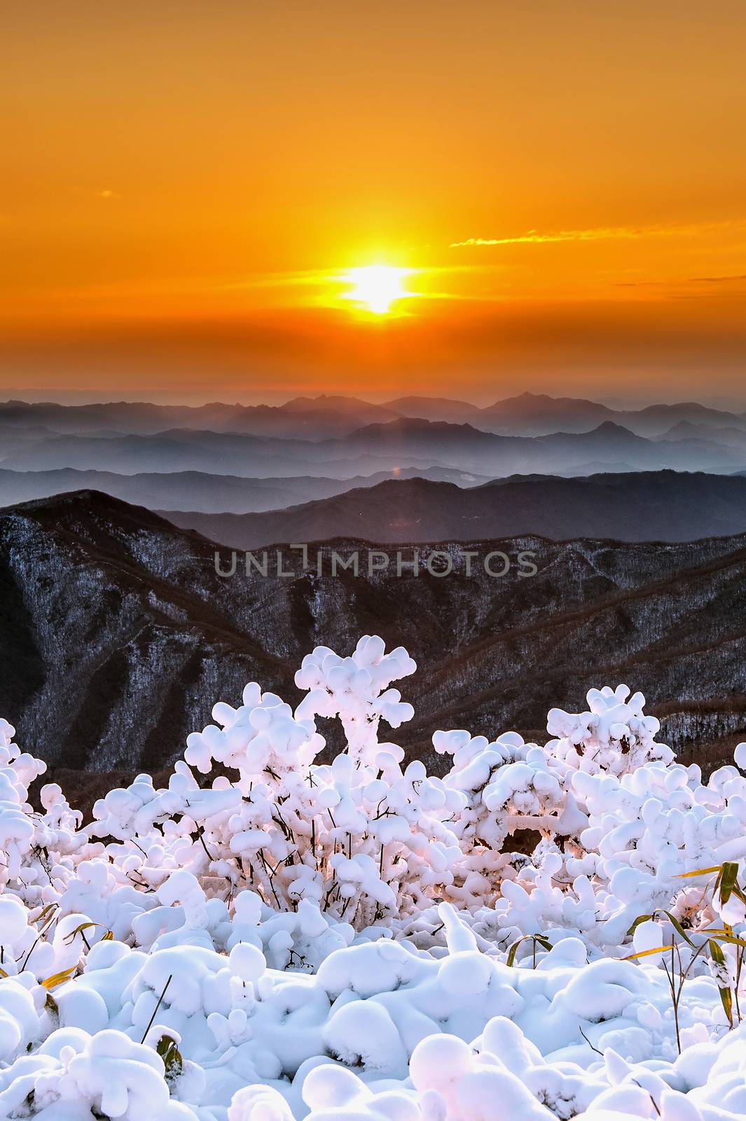 Beautiful sunrise on Deogyusan mountains covered with snow in winter,South Korea. by gutarphotoghaphy