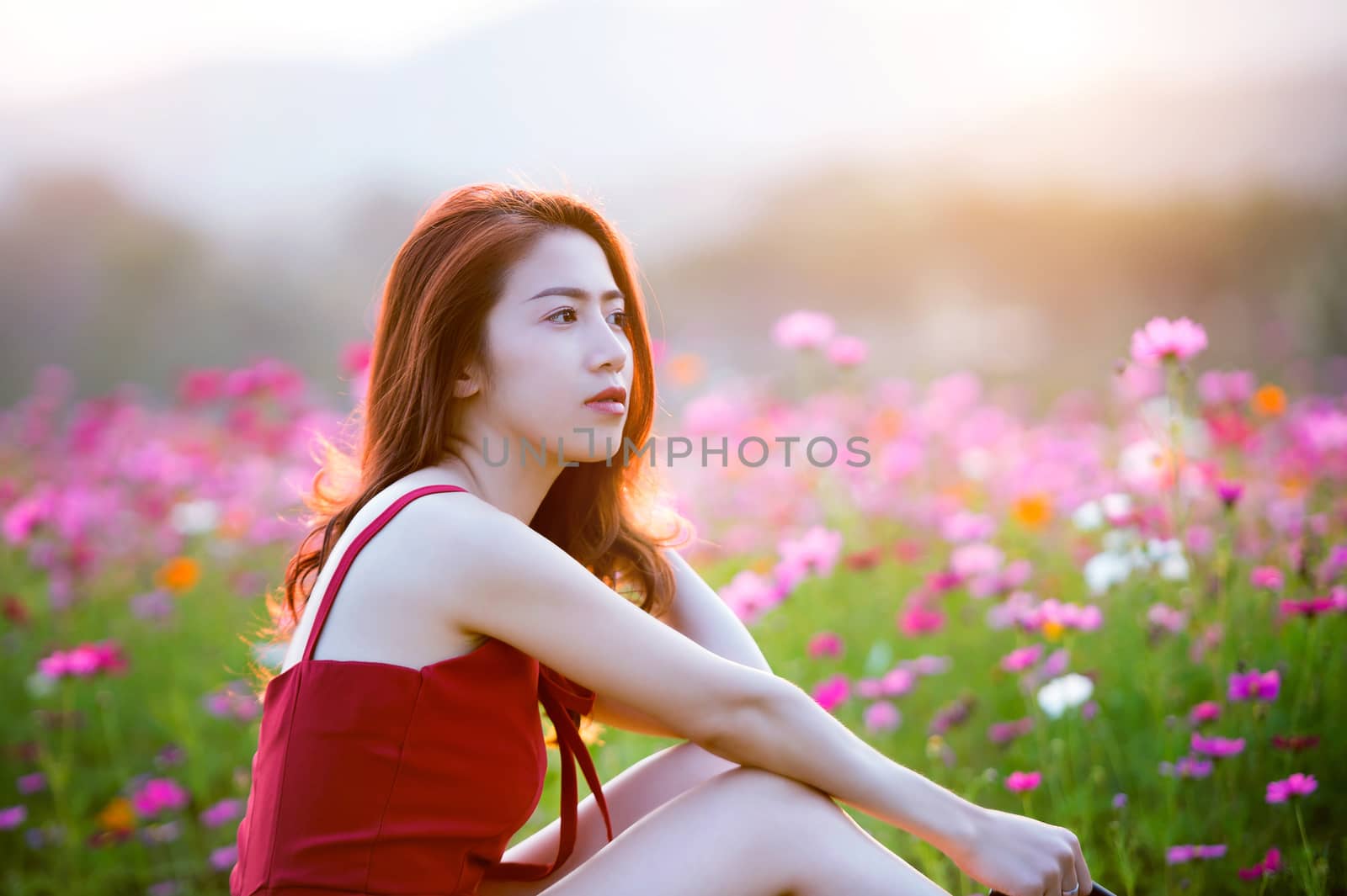 Young beautiful woman with a Cosmos flower.