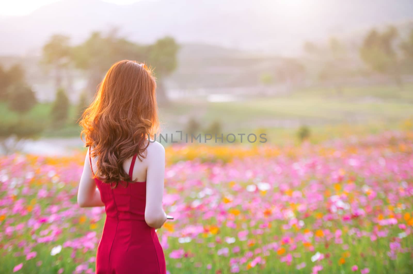 Young beautiful woman with a Cosmos flower. by gutarphotoghaphy