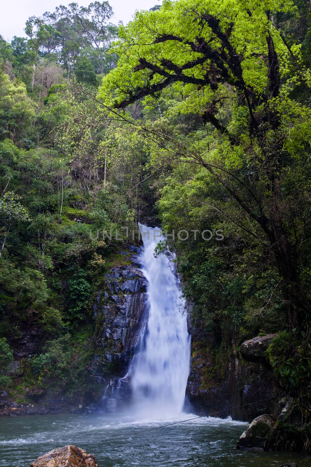 Yong Waterfall National Park is one of the attractions of Nakhon by jee1999