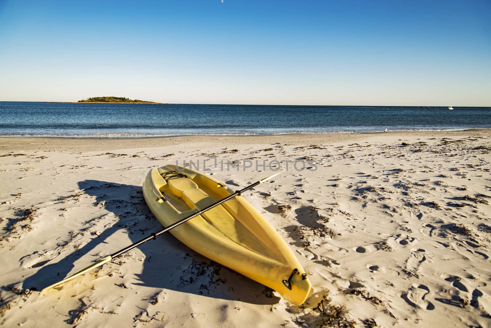 An old yellow canoe resting on a shore in Maine