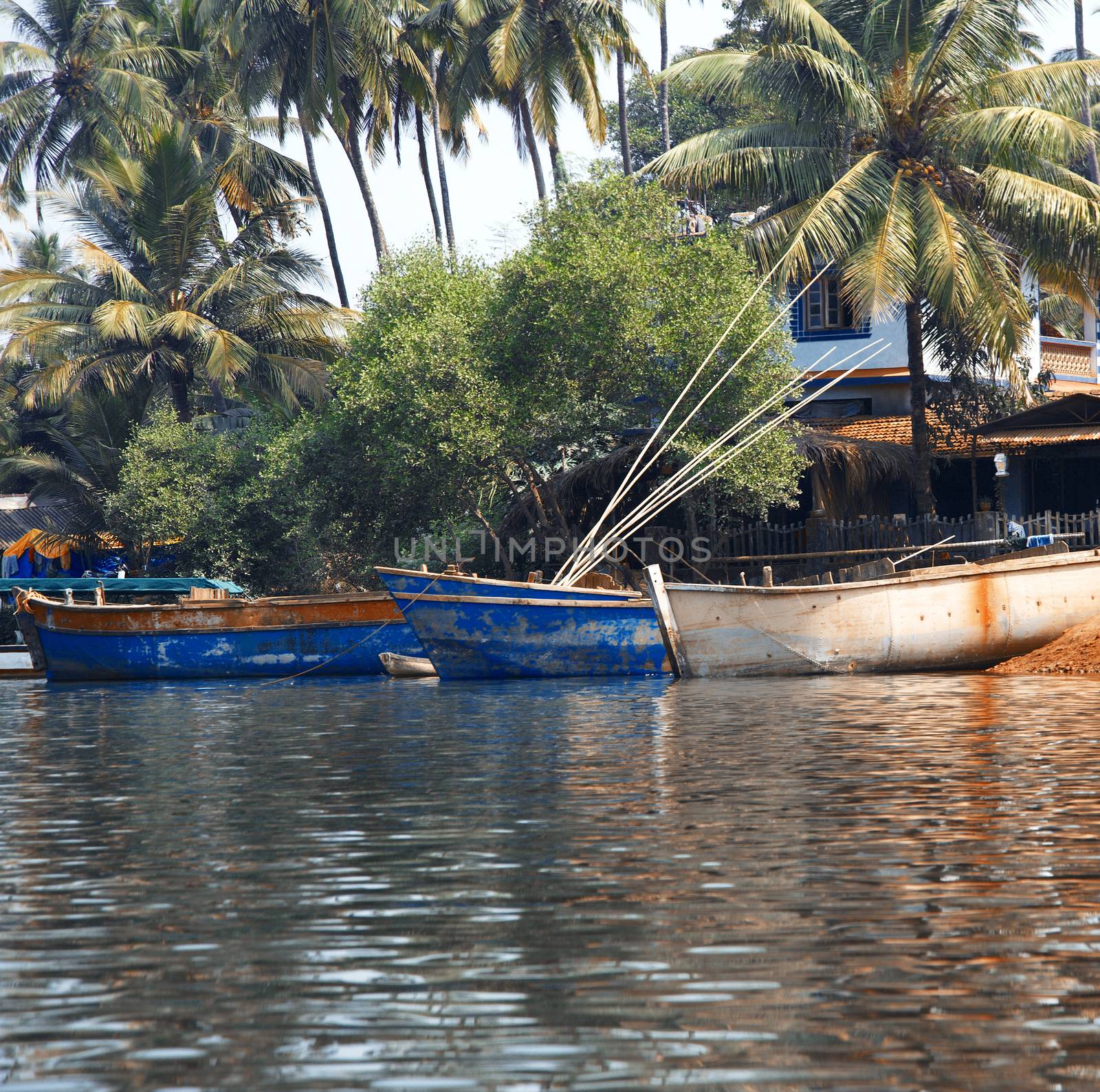 Fishing boats at the pier in palm jungles by Novic