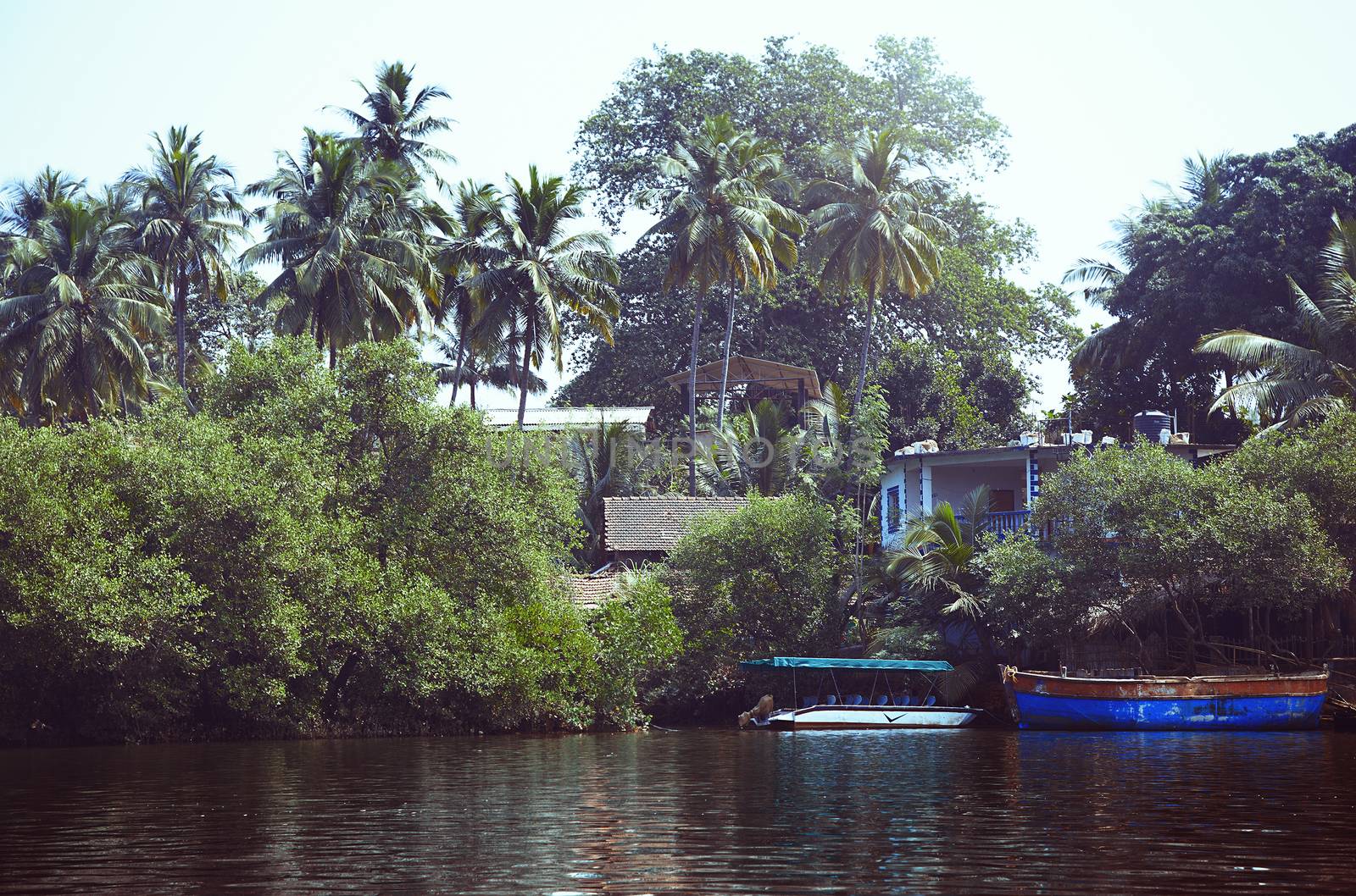 Fishing boats at the pier in palm jungles. Goa, India