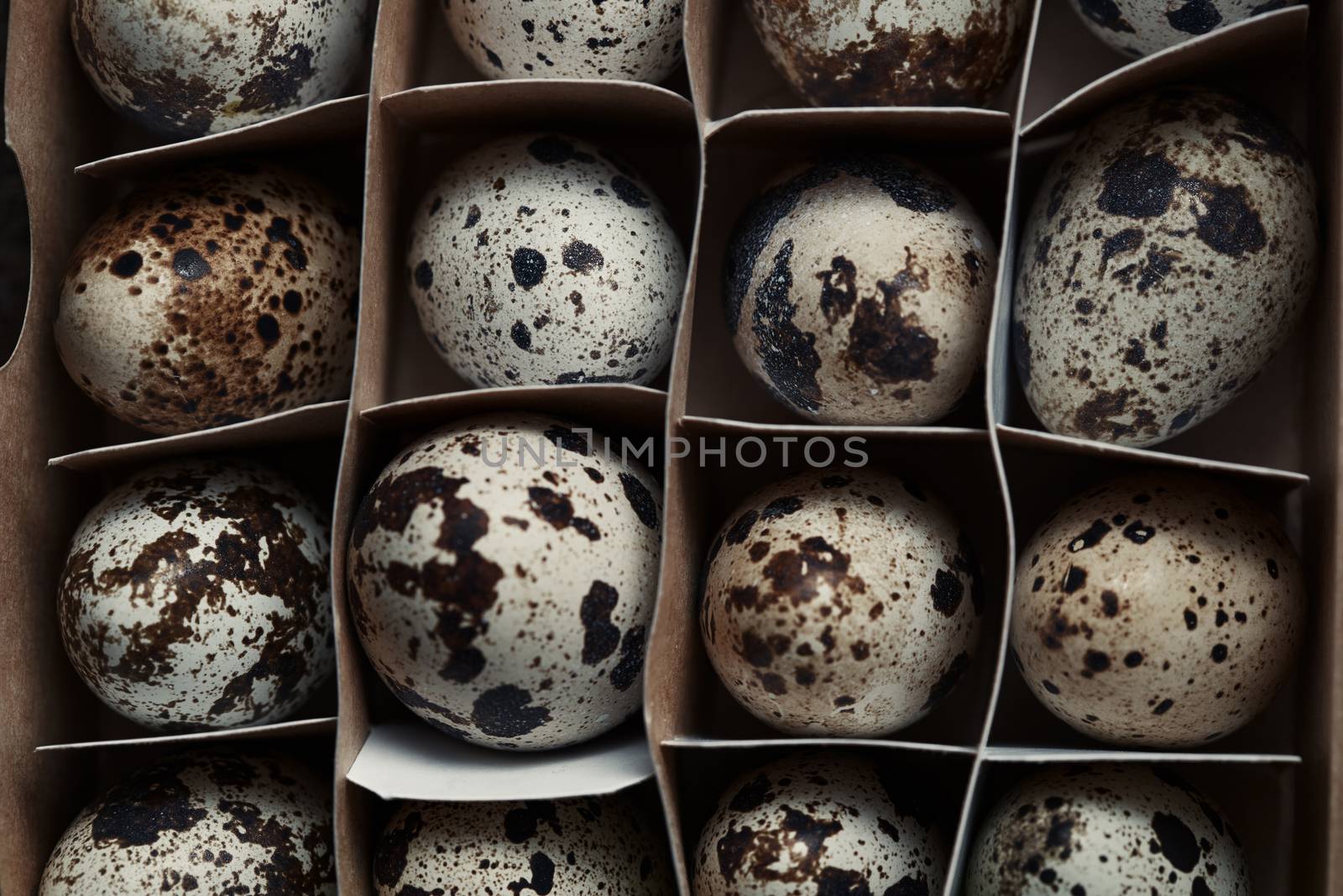 Carton box with quail eggs