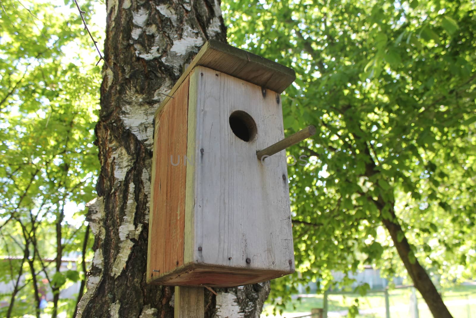 A birdhouse on a tree in a forest.