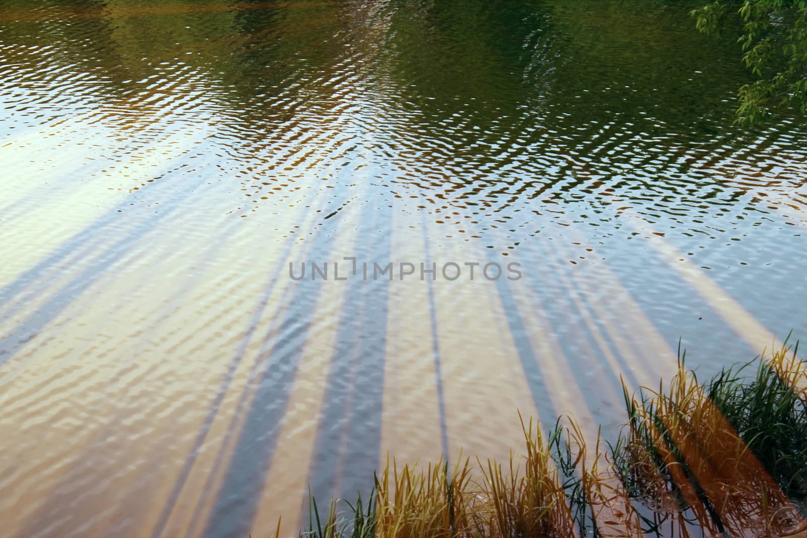 Magic pond. Composition of a pond and rays. Natural background