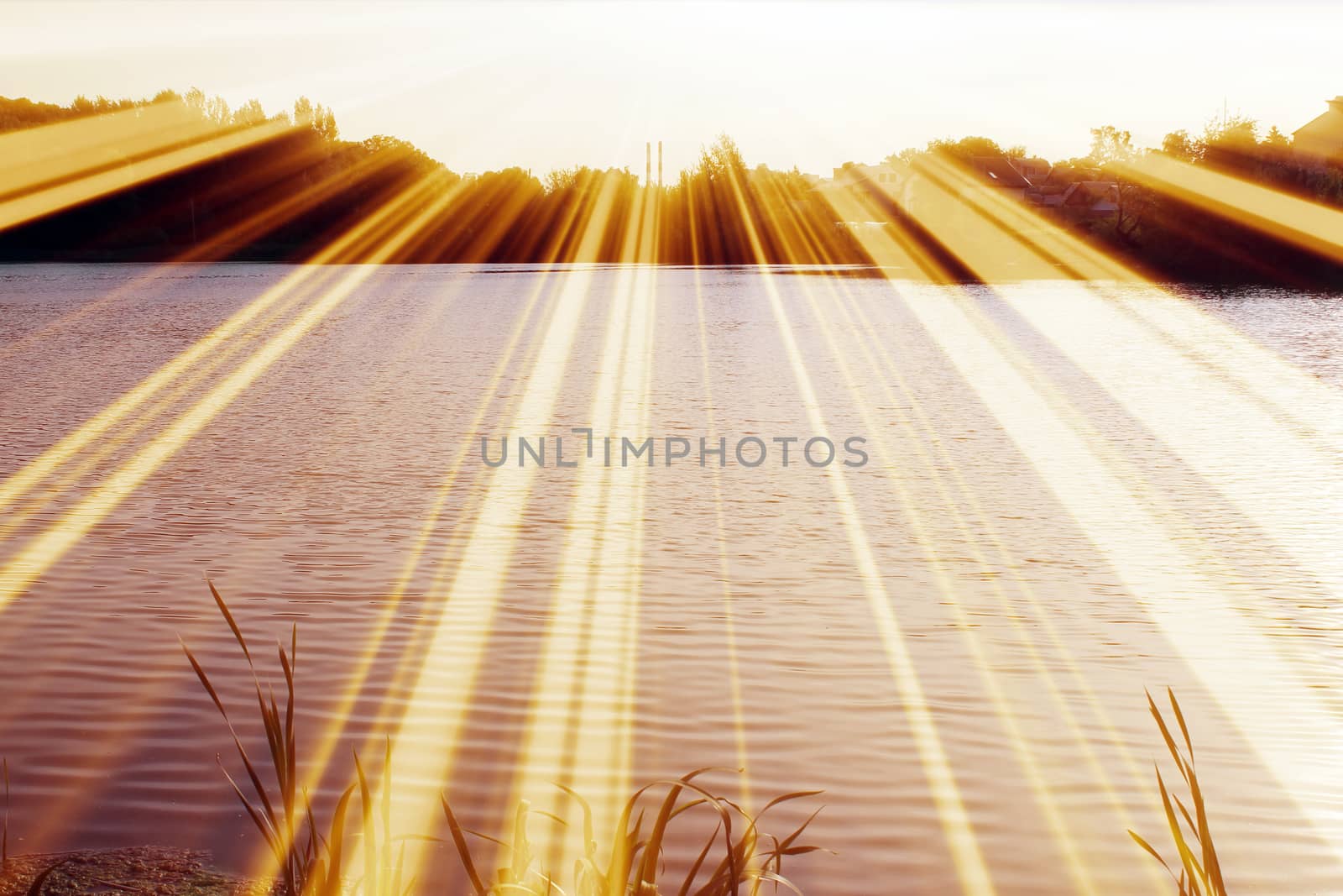 Magic pond. Composition of a pond and rays. Natural background