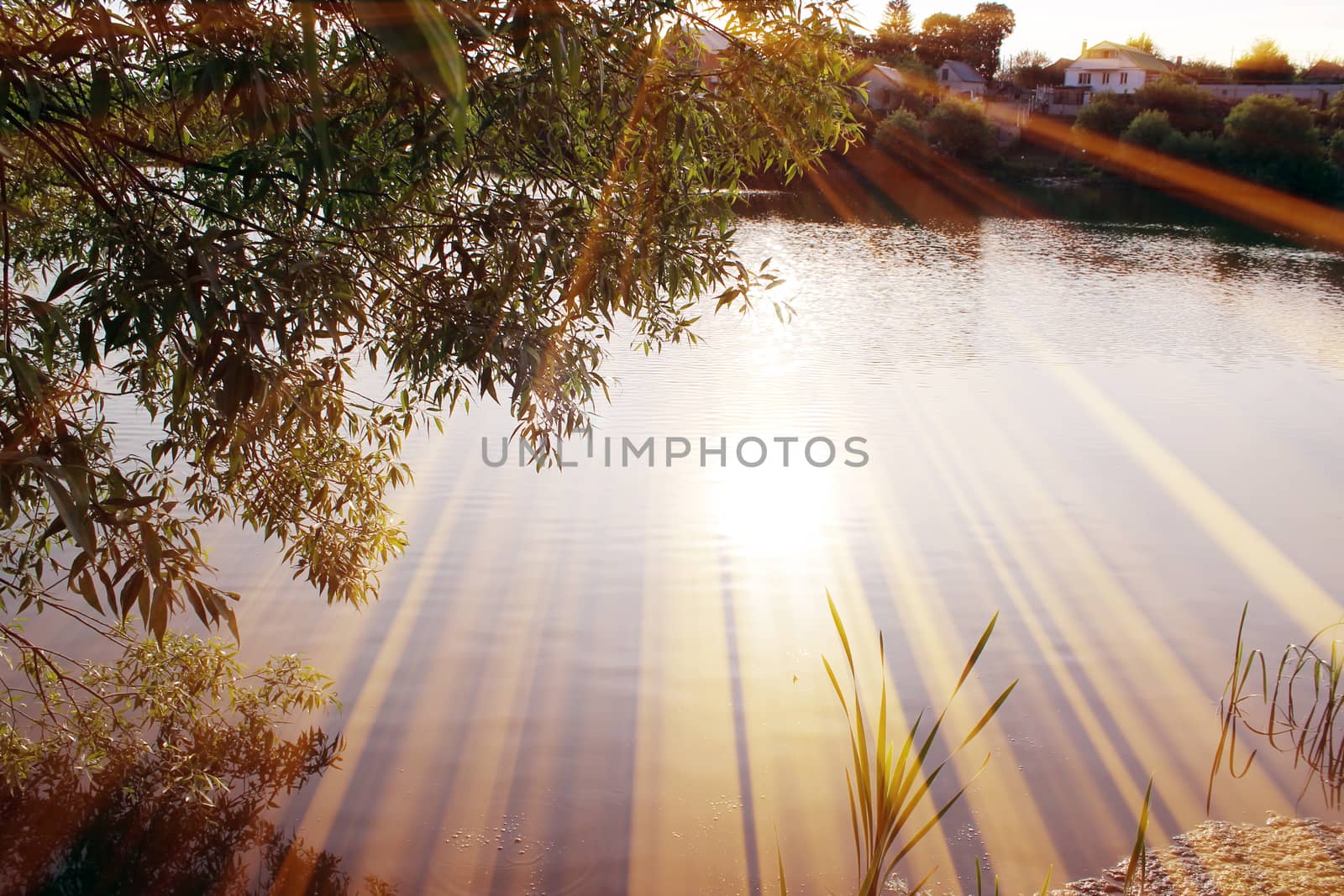 Magic pond. Composition of a pond and rays. Natural background