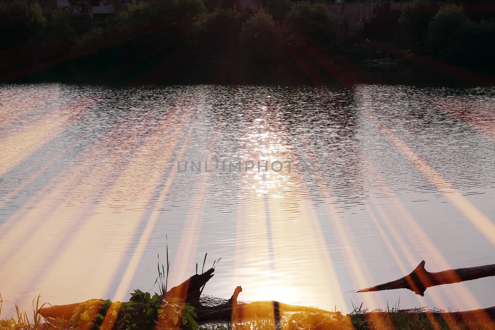 Magic pond. Composition of a pond and rays. Natural background
