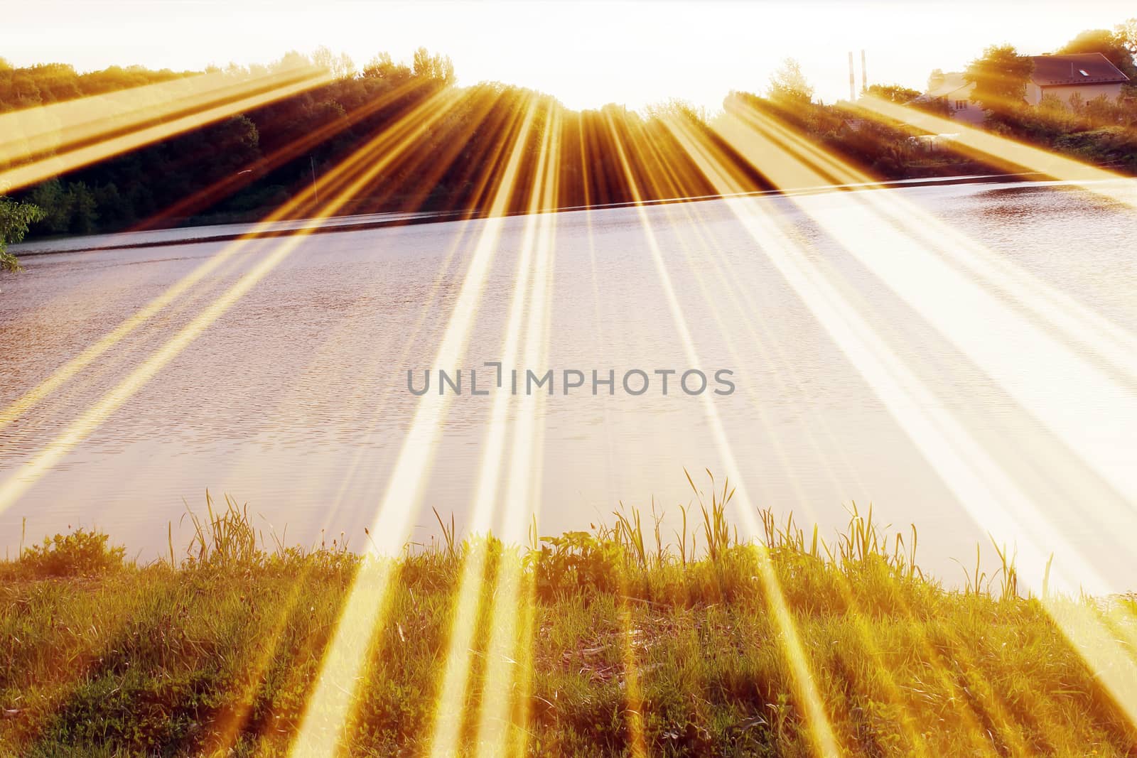 Magic pond. Composition of a pond and rays. Natural background
