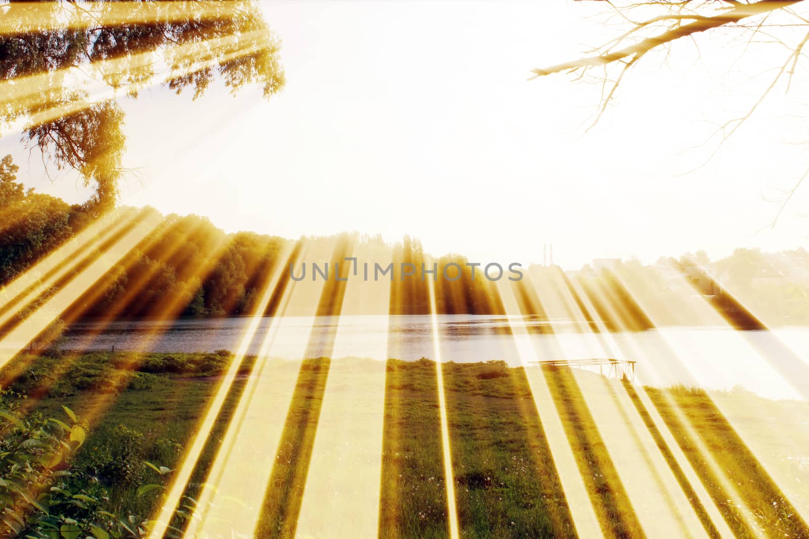 Magic pond. Composition of a pond and rays. Natural background