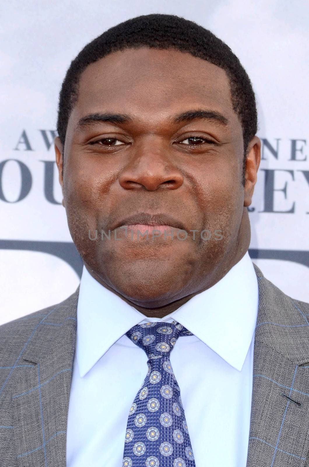 Sam Richardson
at FYC for HBO's series VEEP 6th Season, Television Academy, North Hollywood, CA 05-25-17