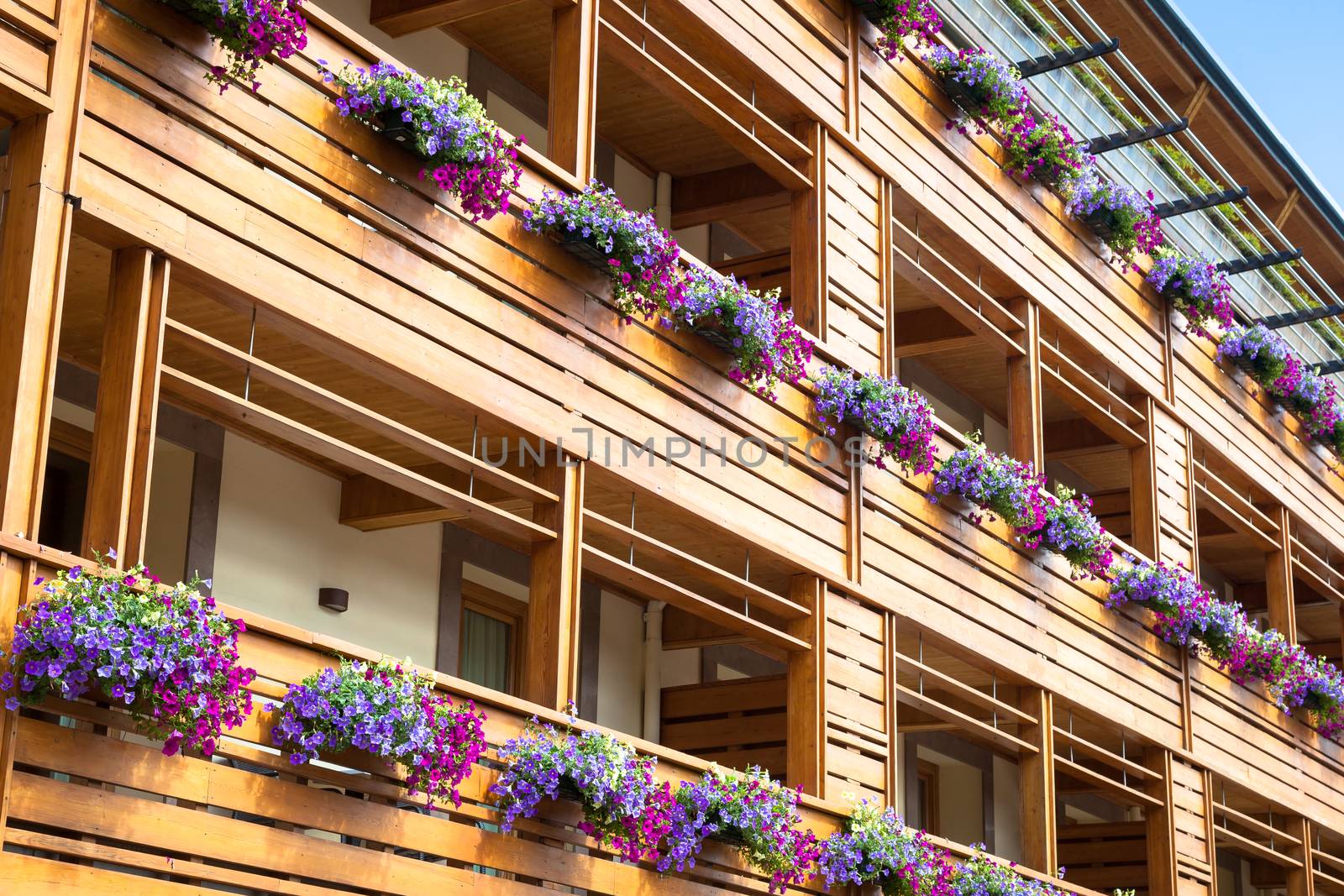 Flowers on Chalet balcony by Perseomedusa
