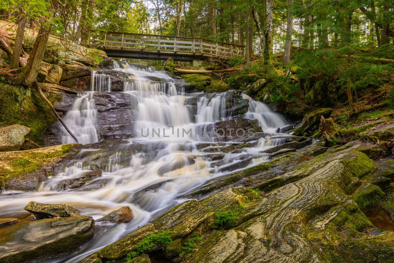 Potts Falls are located in the District of Muskoka near the town of Bracebridge Ontario.