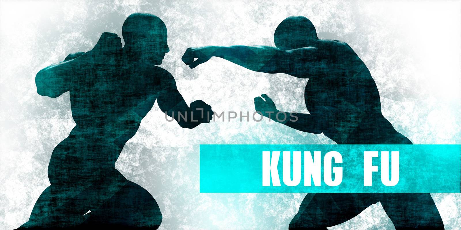 Kung fu Martial Arts Self Defence Training Concept