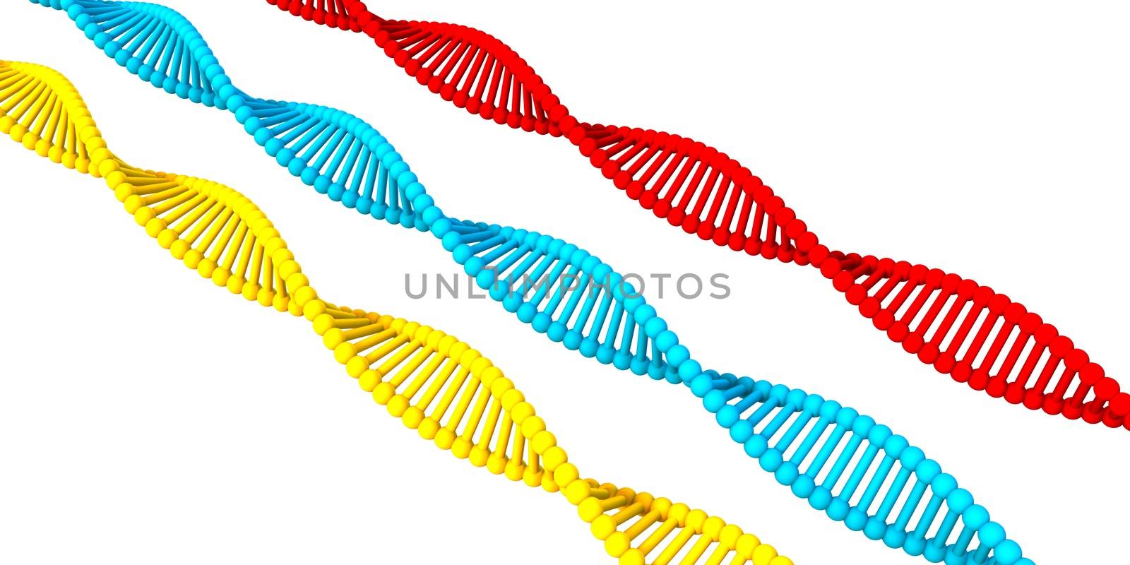 DNA Structure by kentoh