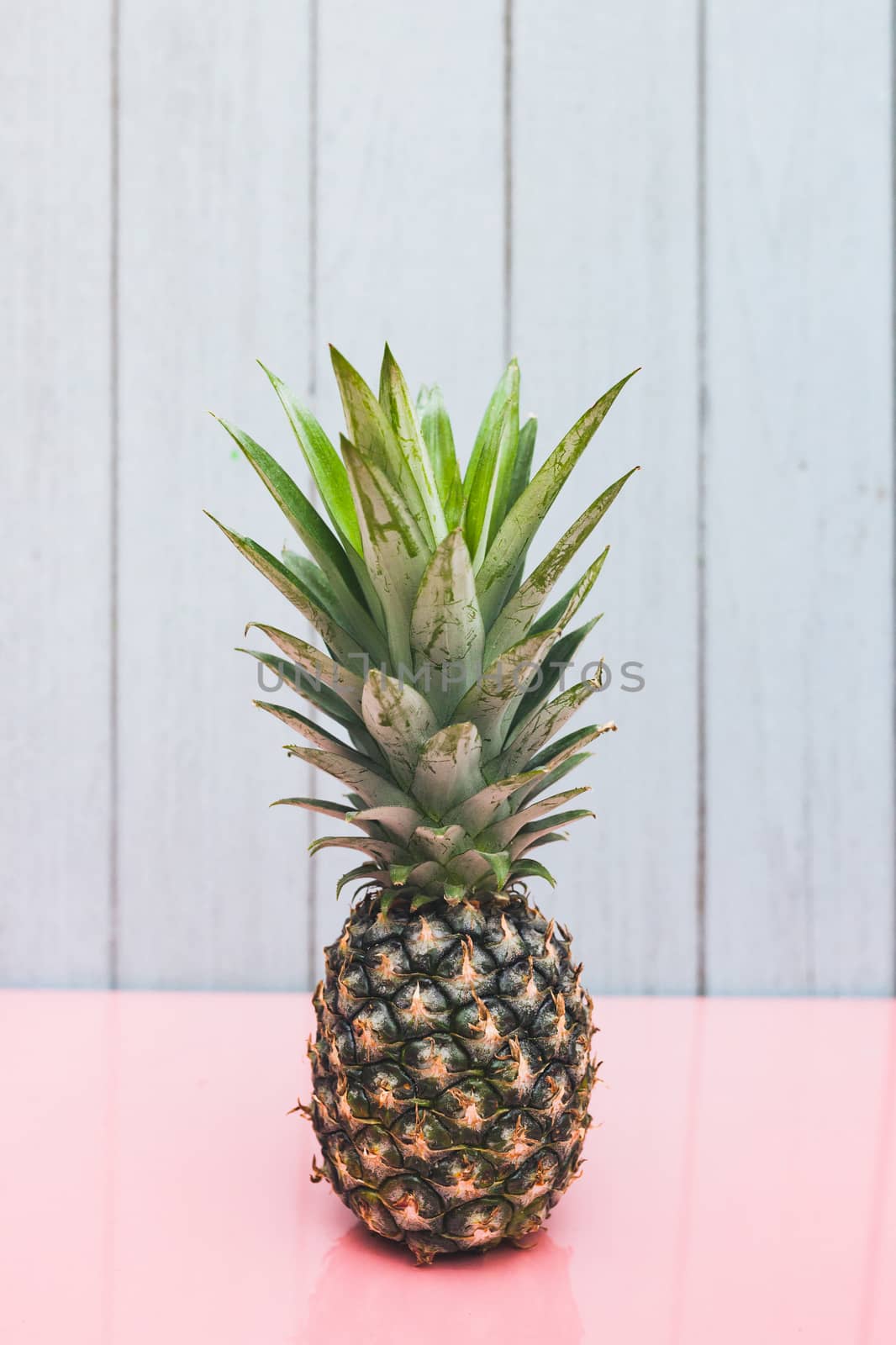 Pineapple on a blue pastel background by nopparats