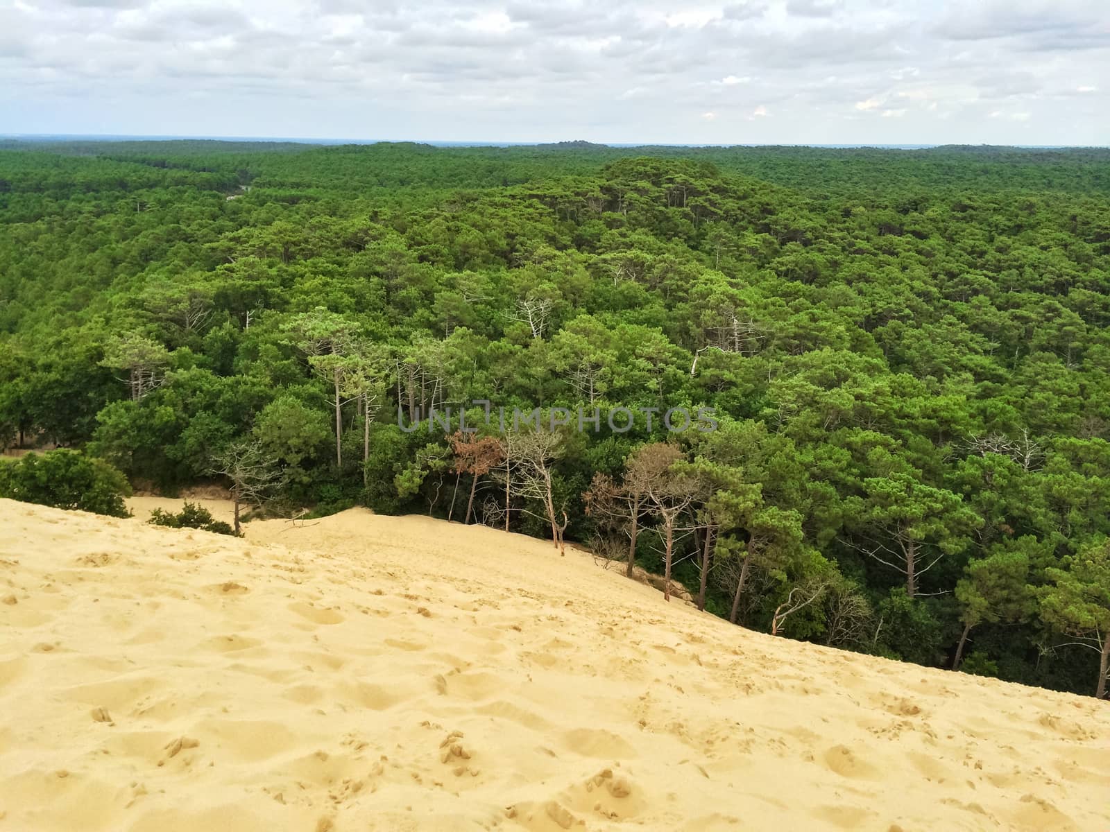 View from the top of Dune du Pilat. Dune of Pilat, the tallest sand dune in Europe, located in the Arcachon Bay area, France.