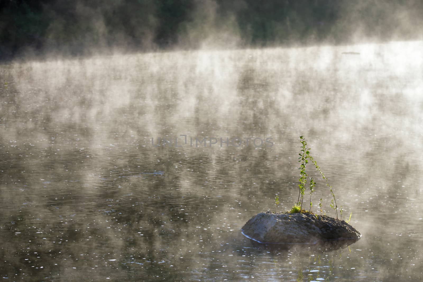 Stone in morning misty sunny river. Boiling effect, foggy sunrise