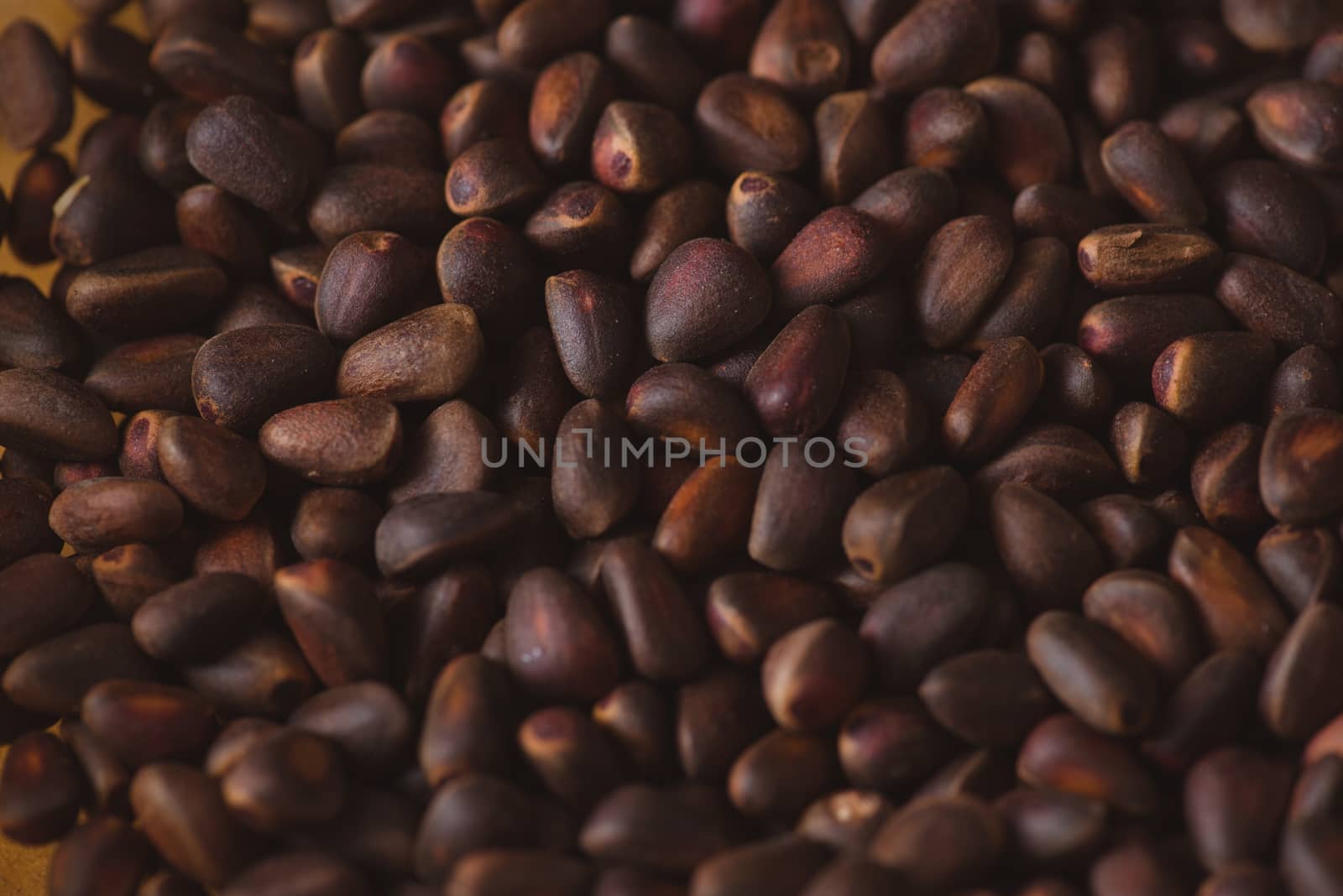 Pine nuts in shells of ciberian cedar as a background. Macro by skrotov