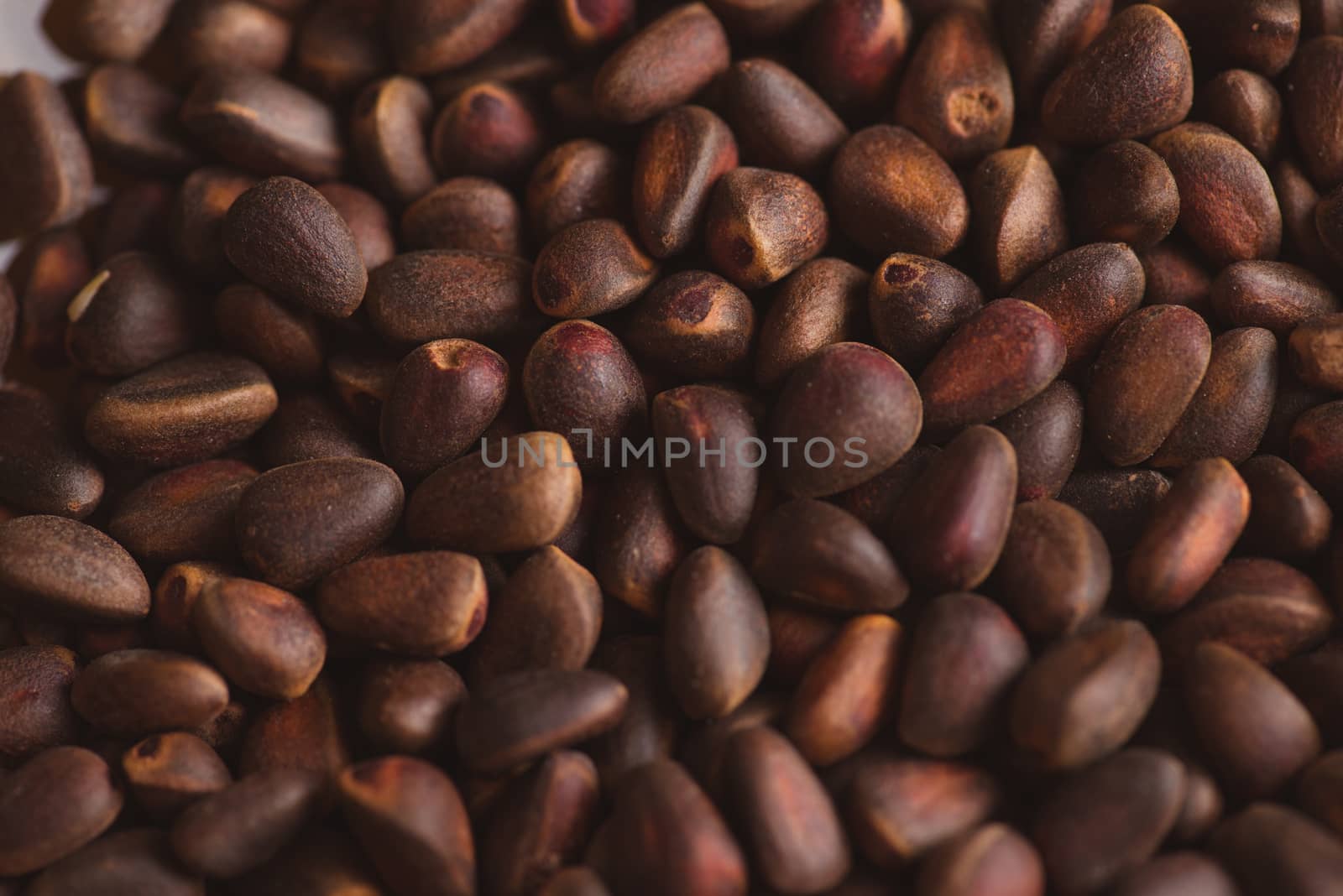 Pine nuts in shells of ciberian cedar as a background. Macro by skrotov