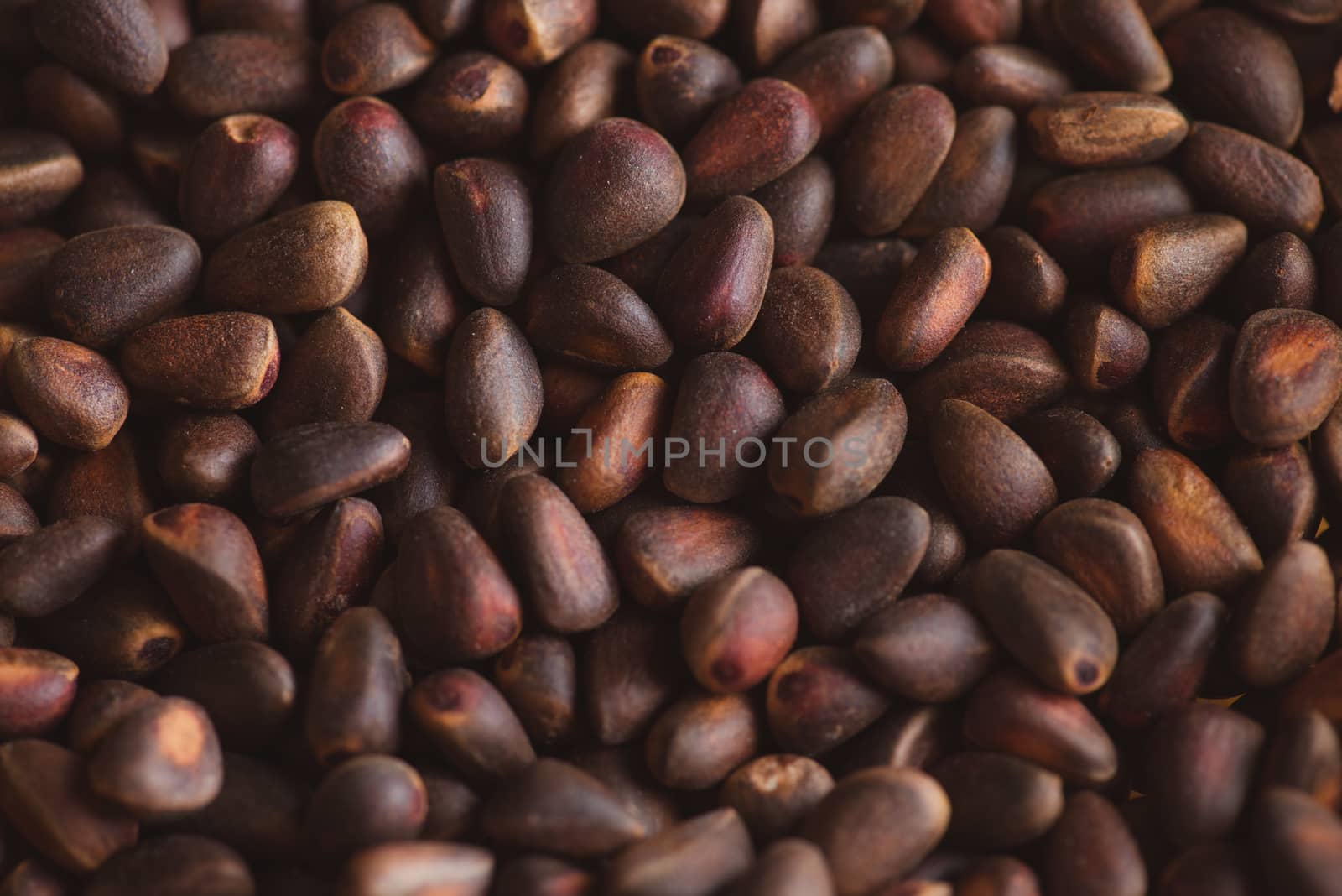 Pine nuts in shells of ciberian cedar as a background. Macro by skrotov