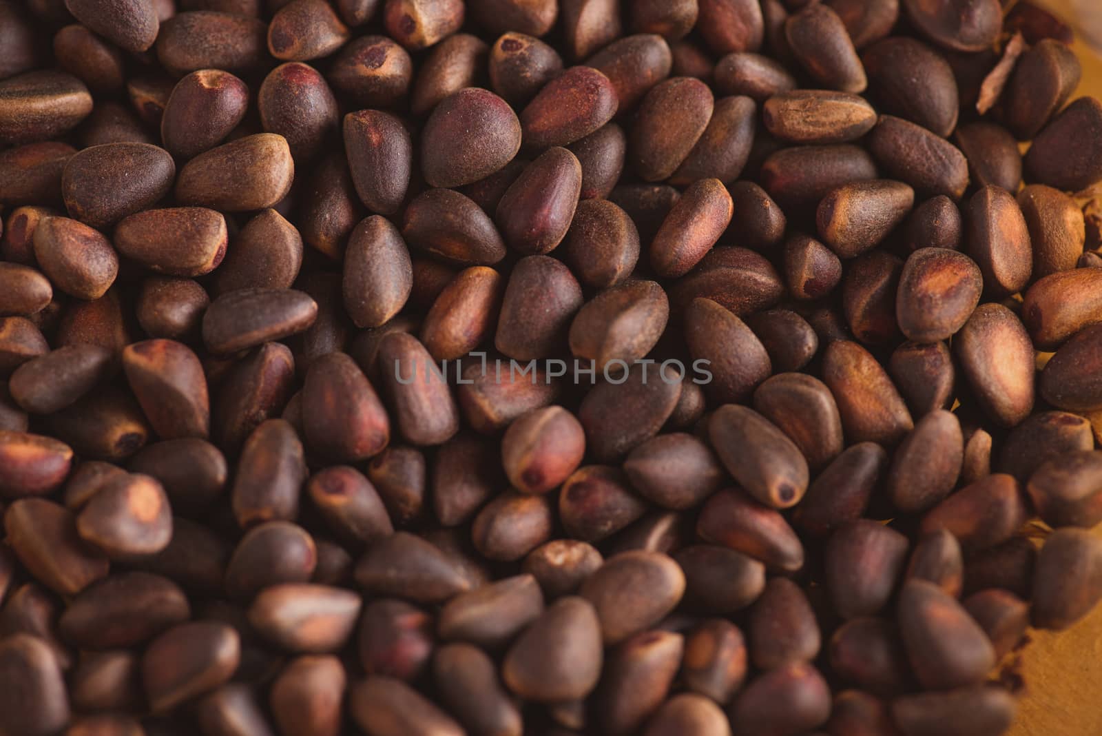 Pine nuts in shells of ciberian cedar as a background. Macro by skrotov